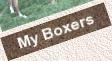 My Boxers